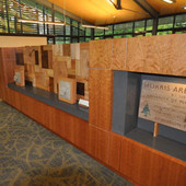 Display/Storage Cabinets: Cherry veneer with solid multi-specie samples and Ceas